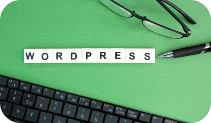 What Are the Essential Design Elements of a High-Performing WordPress Website?