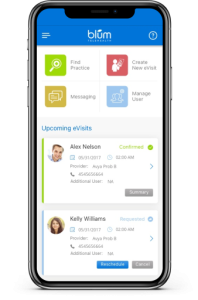 Blum Dashboard Mobile Screen