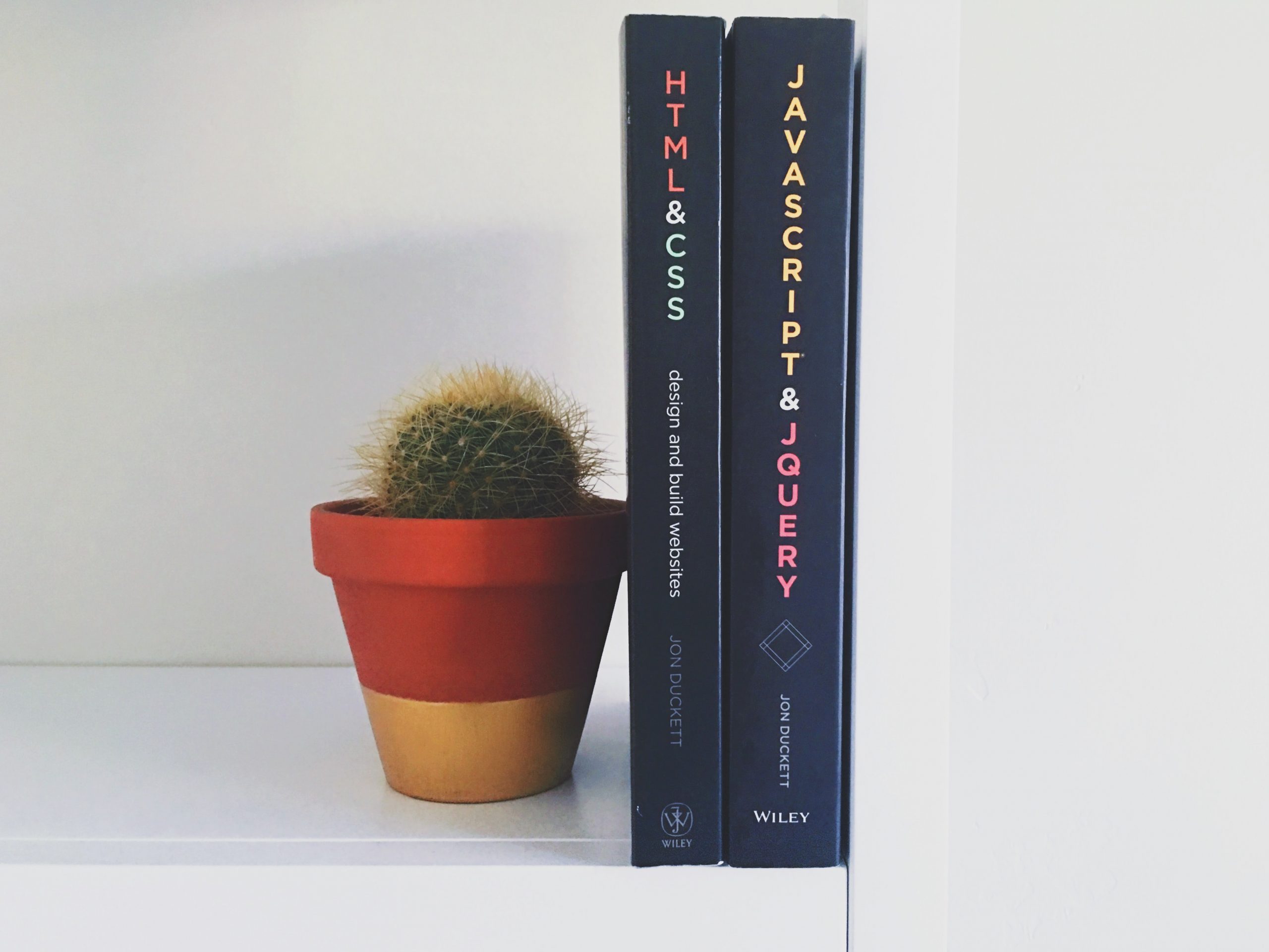 Books beside a cactus pot