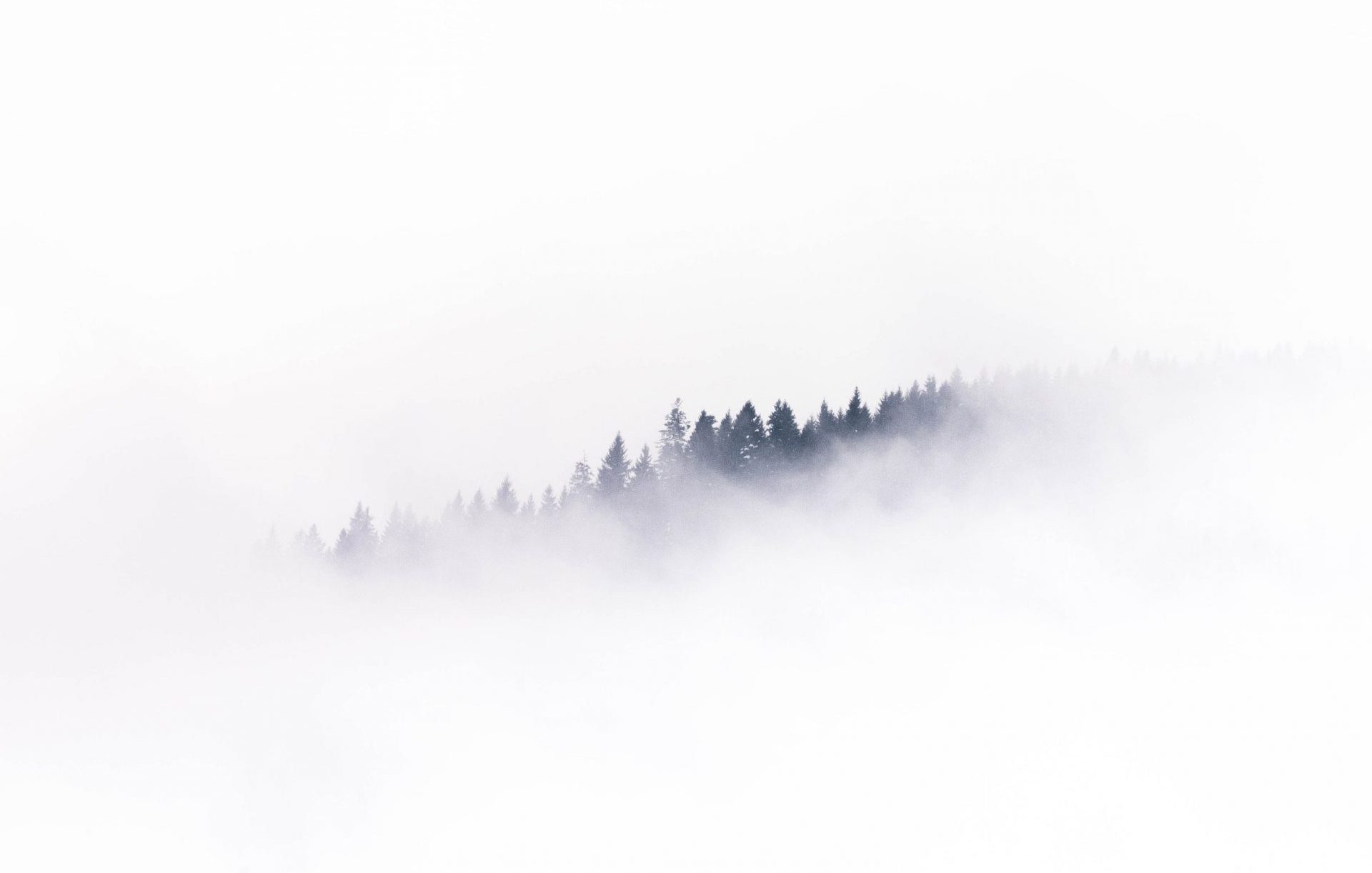 picture of a foggy mountain
